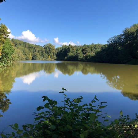 Appartamento Le Charme De L'Ancien Au Calme Et A 8 Min De Chenonceaux La Croix-en-Touraine Esterno foto